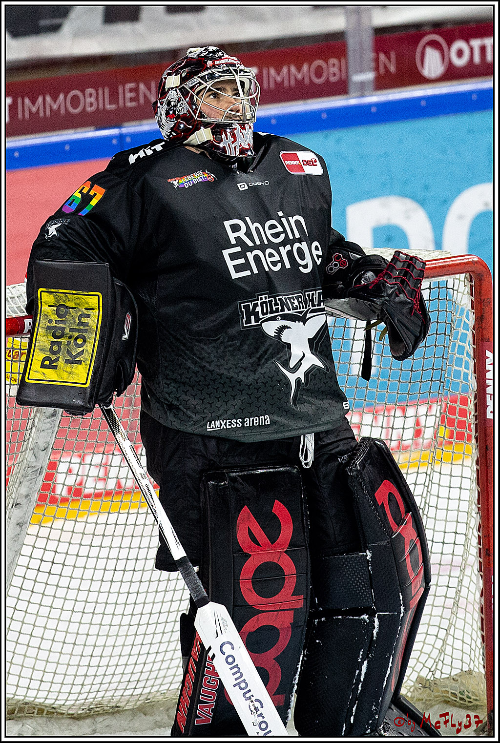 PENNY DEL;  Koelner Haie - Fischtown Pinguins Bremerhaven; Koeln, 17.01.2021